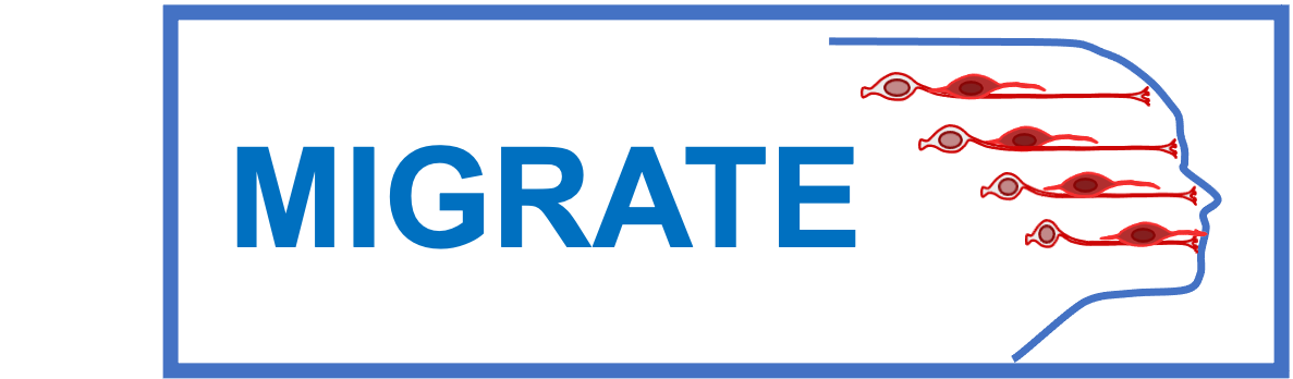 migrate